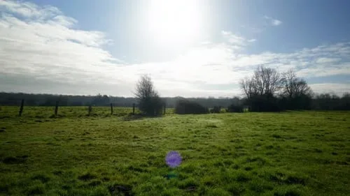 91助手安卓版自然风光视频素材分类